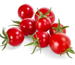 Zuckertomate, rot