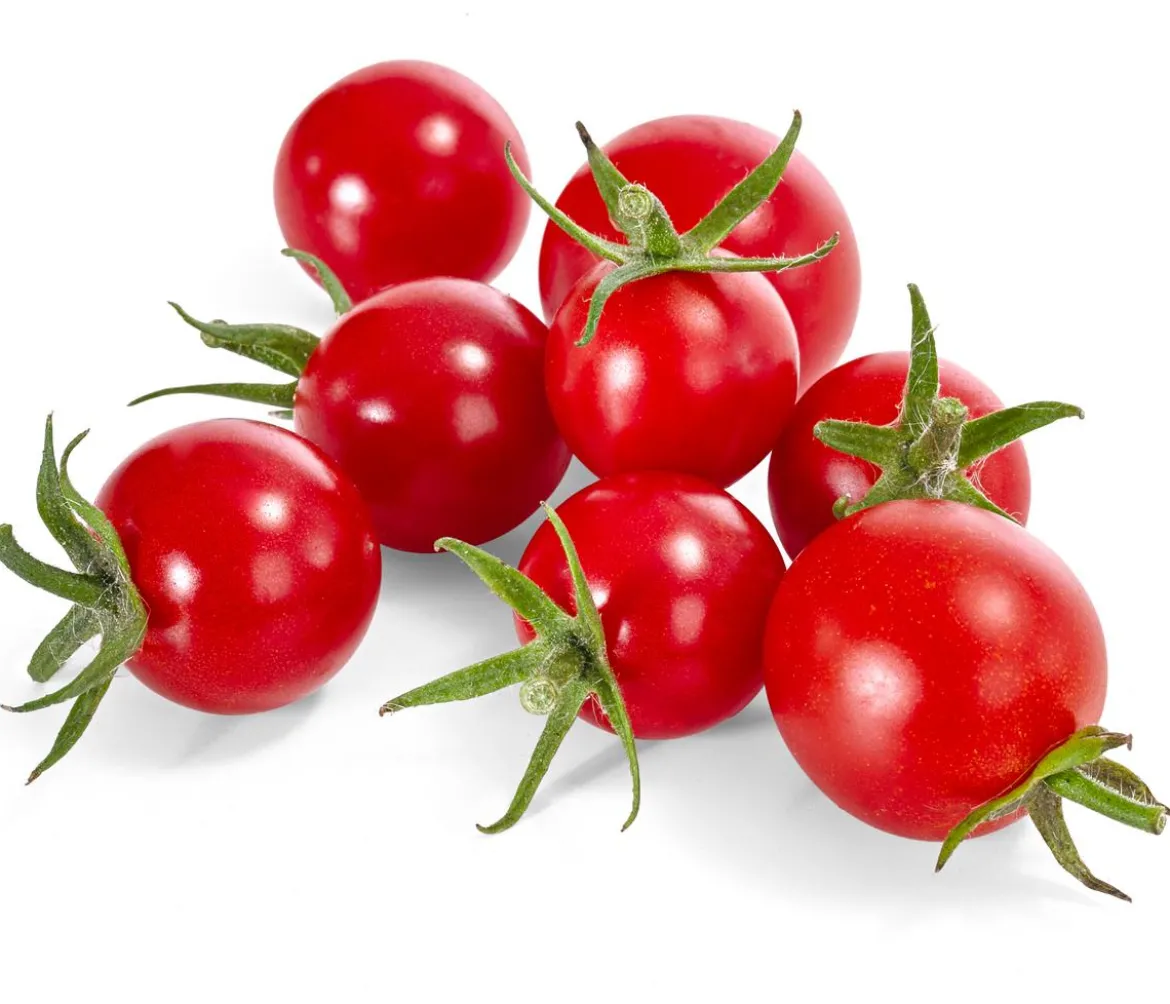 Zuckertomate, rot
